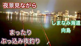 【ぶっ込み＆虫ヘッド】しまなみ海道、向島で夜景みながらゆっくり夜釣りが楽しい！