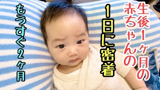 【生後1ヶ月】赤ちゃんの1日に密着！もうすぐ2ヶ月だよ！[One month after birth]Close contact with my baby. It's almost 2 months.