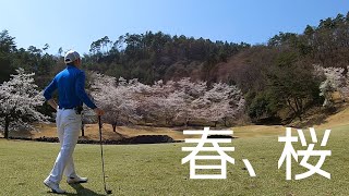 西東京ゴルフ倶楽部 前編 ゴルフ2年目　春　桜