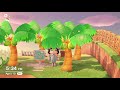 The Island with the Reddit Famous Flower Field  Animal Crossing New Horizons 5 Star Island Tour