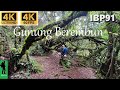 Ep90 Hike to Gunung Berembun peak via Kem Sungai Pauh trailhead Cameron⭐ Pahang Malaysia