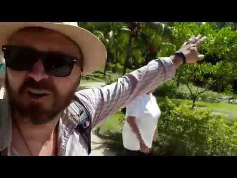 Сейшелы. Экскурсия на остров Праслин (Прале) и Ла Диг Сейшелы. Экскурсия на остров Праслин (Прале) и Ла Диг