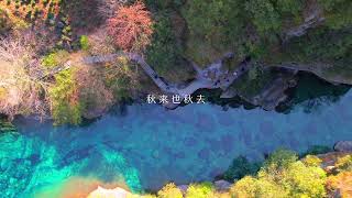 转眼夏天成了故事，秋天成了风景。#牯牛降的秋天 #山野自然