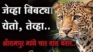 leopard attack shrirampur | तब्बल 4 तास बिबट्याचा हैदोस । सात जणांना जखमी केल्यानंतर जेरबंद #leopard