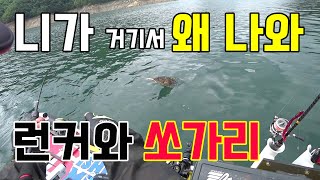 4짜쏘가리 2연타 랜딩 #소양호쏘가리 #초보앵글러