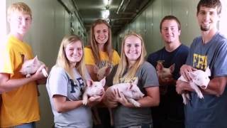 Youth Leadership in Agriculture