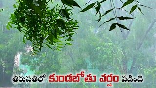 Chinni Shootspot | తిరుపతి లో కుండపోతు వర్షం | Sudden Rainfall in Tirupati  | Mahesh