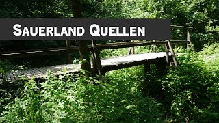 5 Quellen im Sauerland