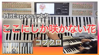 【エレクトーン】ここにしか咲かない花/コブクロ