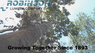 Robinson Lumber Tropical Hardwood Sourcing