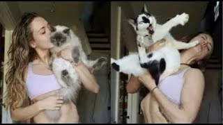 😺 Вот такими разными бывают коты! 🐈 Смешное видео с котами и котятами для хорошего настроения! 😸
