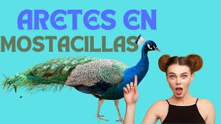 Crea tus propios hermosos aretes de pavo real