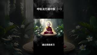 呼吸法打通中脉（一） #修行 #禅#打坐