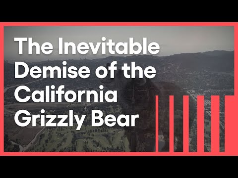 Are there any grizzlies in Cali?