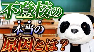 不登校の原因は〇〇です。即実践できるサポート方法を徹底解説！【不登校シリーズ前編】