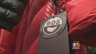 Animal Activists Call 'Responsible Down Standard' A Flawed System