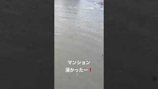 大雨でマンション浸かったー！　＃大雨　＃浸水