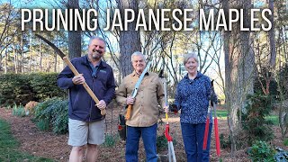 How to Prune Japanese Maples and Why