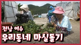 [남도지오그래피] 우리동네 마실돌기, 전남 여수｜KBS 210907 방송