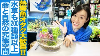 【命と自然の究極空間】足立区にある水草と熱帯魚の専門店「AQUA TAKE-E」をご紹介！