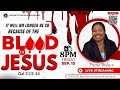 Prophetic Prayer and Healing Hub| It will no longer be so! Because of the Blood of JESUS