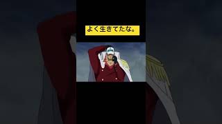 敗北者じゃけ#onepiece #shorts