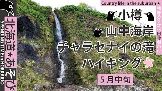 小樽 山中海岸 チャラセナイの滝 ハイキング