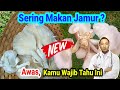 Sering Makan Jamur ❓ Ini Manfaat Jamur Tiram yang Wajib Kamu Tahu