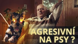 Ivo Eichler - Agresivita vůči ostatním psům