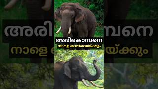 അരികൊമ്പനും വനംവകുപ്പും നേർക്കുനേർ #shorts #arikomban #elephant #kerala #aanapremi #missionarikomban