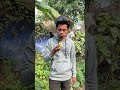 0 টাকায় সারাদিন কাটালাম 😊 minivlog vlogs