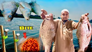 परग फिशिंग नये चारे का गजब शिकार | Amazing Fresh Water Paragh Fishing | Parag Fishing Bite Technique