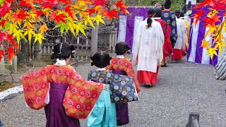 子供たちも大活躍！京都、北野天満宮の曲水の宴！外国人観光客が会いたかった舞妓さんも登場し、最高の日本旅行を満喫！海外の反応