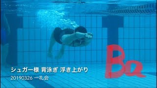 背泳ぎ 浮き上がり シュガー様 20190326 一礼会