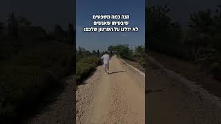 משפטי הפתיחה הכי טובים לסרטונים שלכם: