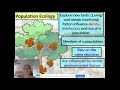 what is a population in ecology