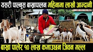 यसरी पाल्नुस बाख्रापालन महिनामा लाखौं आम्दानी goat farming in nepal