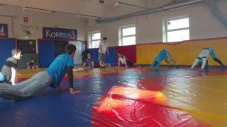 Ukrainian National Team Warm Up - Greco-Roman - 505WC