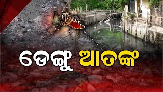 Twin City Ra Bada Khabar Live | ଡରାଇଲାଣି ଡେଙ୍ଗୁ | 21 Jul 2024 | Argus News