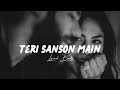 teri sansoon mein slowed u0026 reverb arijit singh palak muachhal hit lofi song