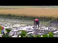 আমাদের এই বসুন্ধরা তাহার মাঝে আছে যে এক সকল দেশের সেরা