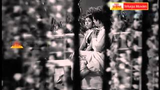 Ee Reyi Theeyanidi - "Telugu Movie Full Video Songs"  - Chitti Chellelu(NTR,Vanisree)