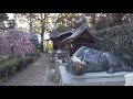 2021年2月25日　３－①　道明寺天満宮梅まつりに行く　期間は３月１４日迄