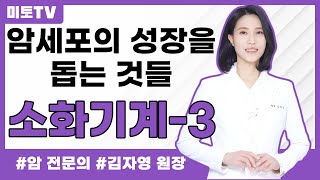 암세포의 성장을 돕는 것들 - 소화기계-대장