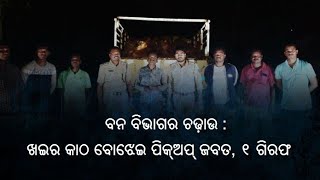 ବନ ବିଭାଗର ଚଢ଼ାଉ : ଖଇର କାଠ ବୋଝେଇ ପିକ୍‌ଅପ୍‌ ଜବତ, ୧ ଗିରଫ/@koshalaprabaha2399