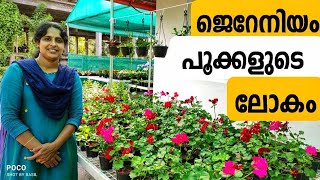 എല്ലാ ചെടികളും ഇവിടെയുണ്ട് നിങ്ങൾക്ക് വേണോ|All the plants are here|J4uTIPS