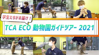 【最後までみるべし】学園祭ECO動物園ツアー