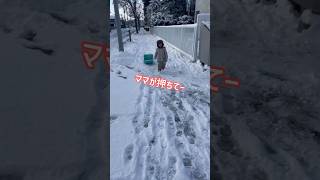 【雪国の登園スタイル】自分でソリを引っ張りたい日【双子の育児日記】 #3歳2ヶ月