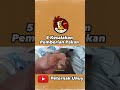 5 kesalahan pakan ayam part 4 pakanayambangkok pakanayam pakanayammurah