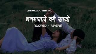 BANMARALE BANAI KHAYO (SLOWED \u0026 REVERB)|| udit narayan × deepa jha